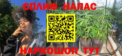 бошки Новодвинск