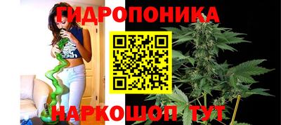 эйфоретик Новокубанск