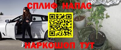 эйфоретик Новокубанск