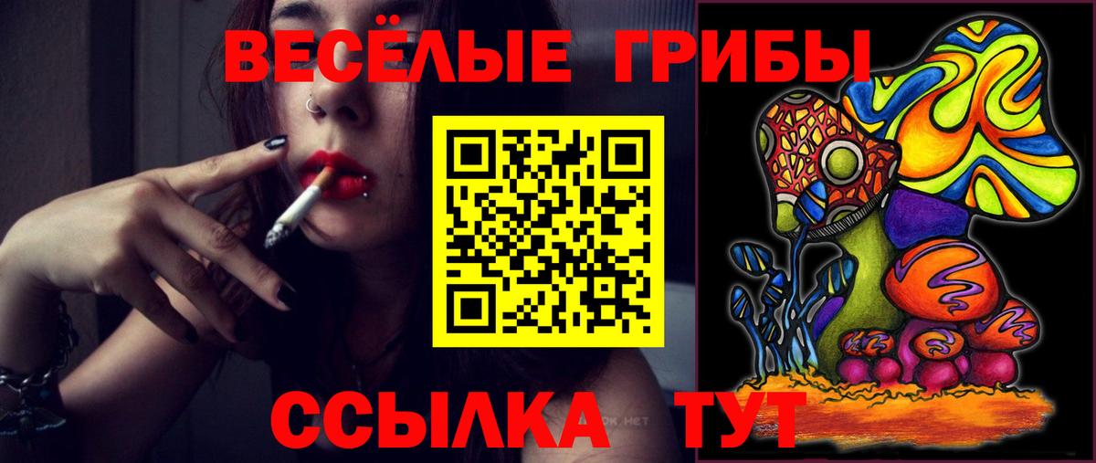 купить наркотики сайты  Галлюциногенные грибы прущие грибы  Вход с VPN  Торжок 