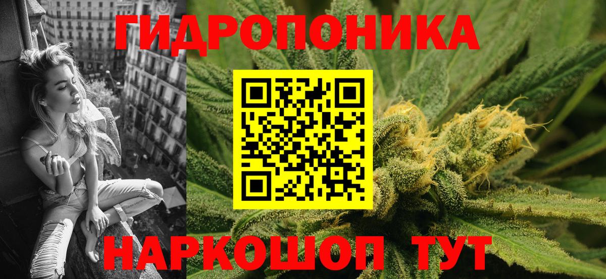 Шишки марихуана Bruce Banner  Вход с VPN  Канабис планчик  Торжок  МАРИХУАНА сатива 